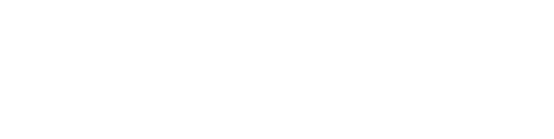Viking logo