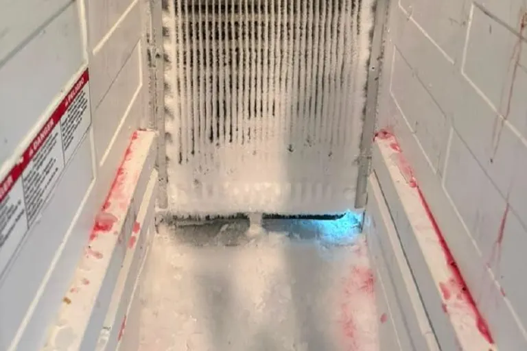 Heavy frost buildup documented on a freezer evaporator